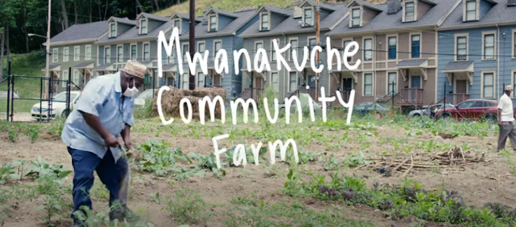 Mwanakuche Farm
